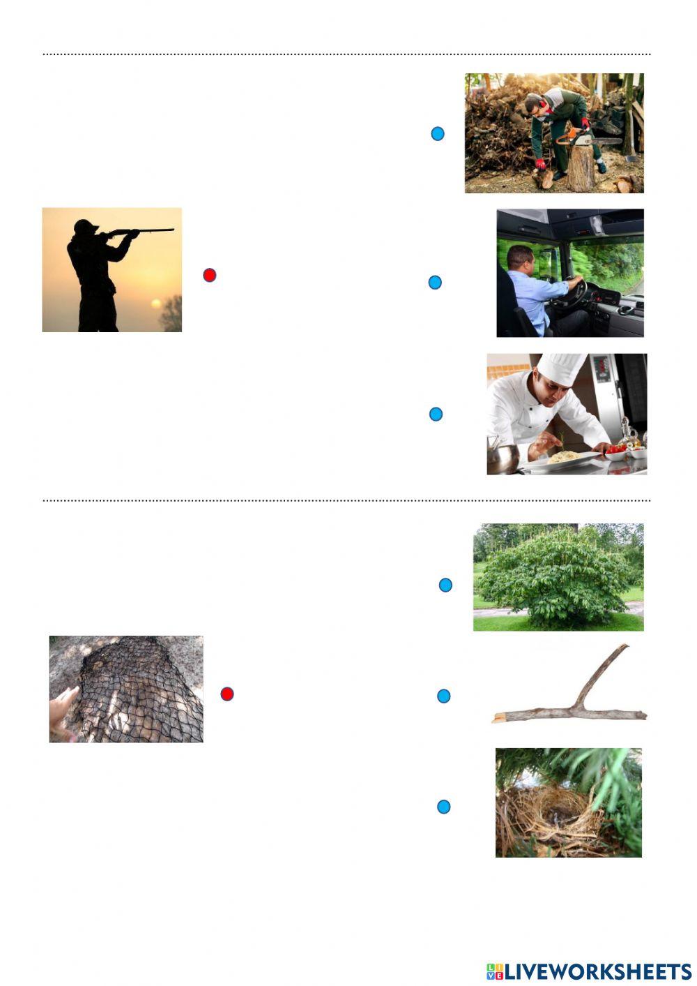 Silaba inicial e final