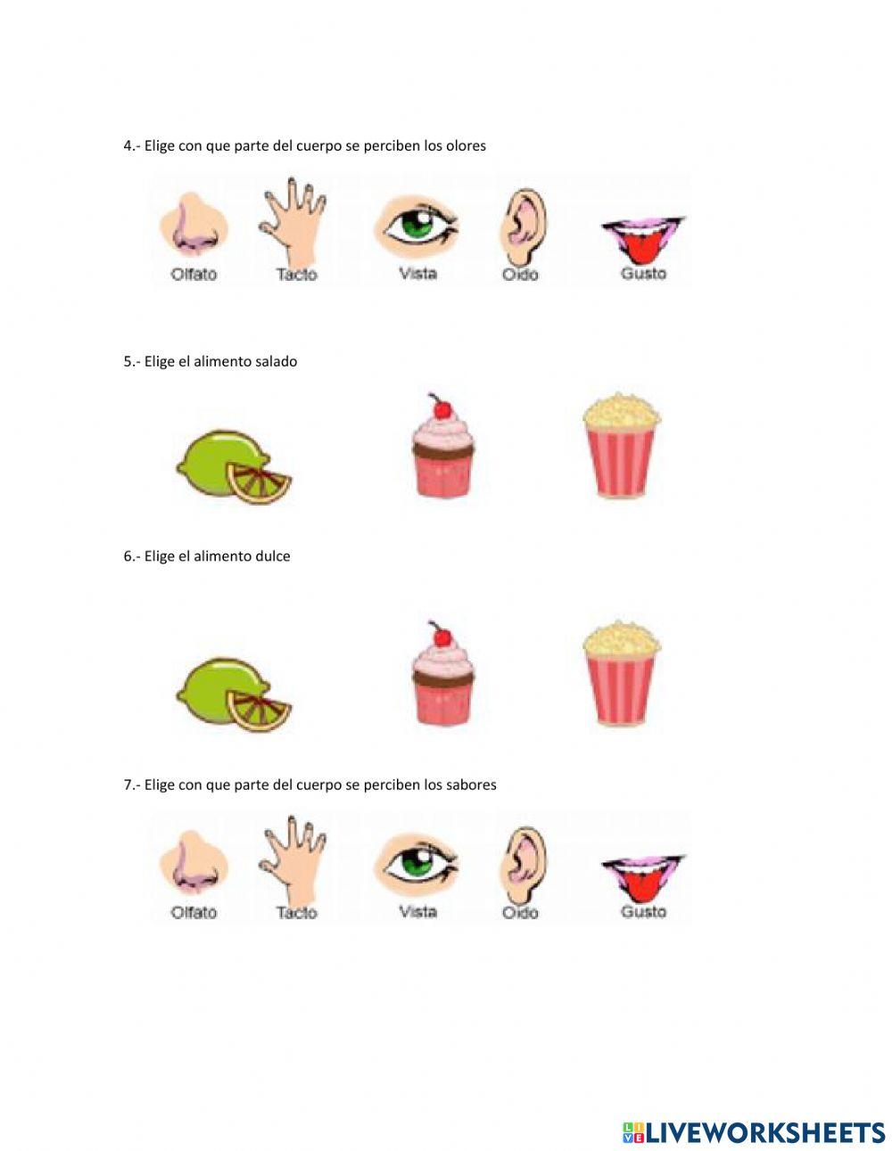 Conocimiento del medio