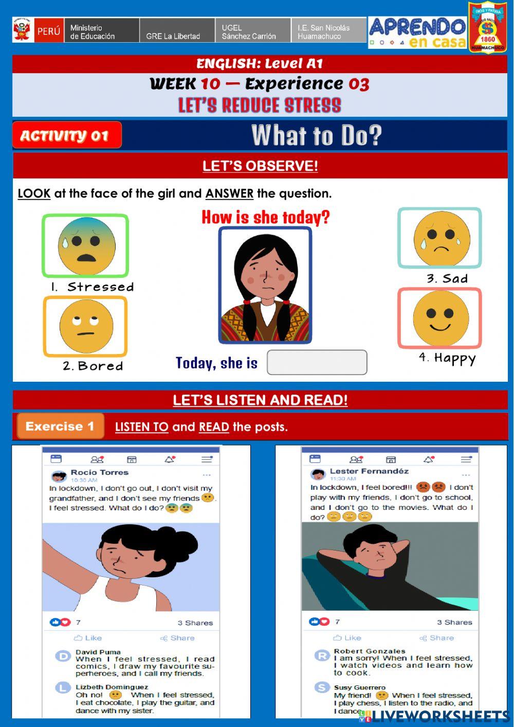 Week 10 - A1 - Experience 3 - Activity 1. What to do?