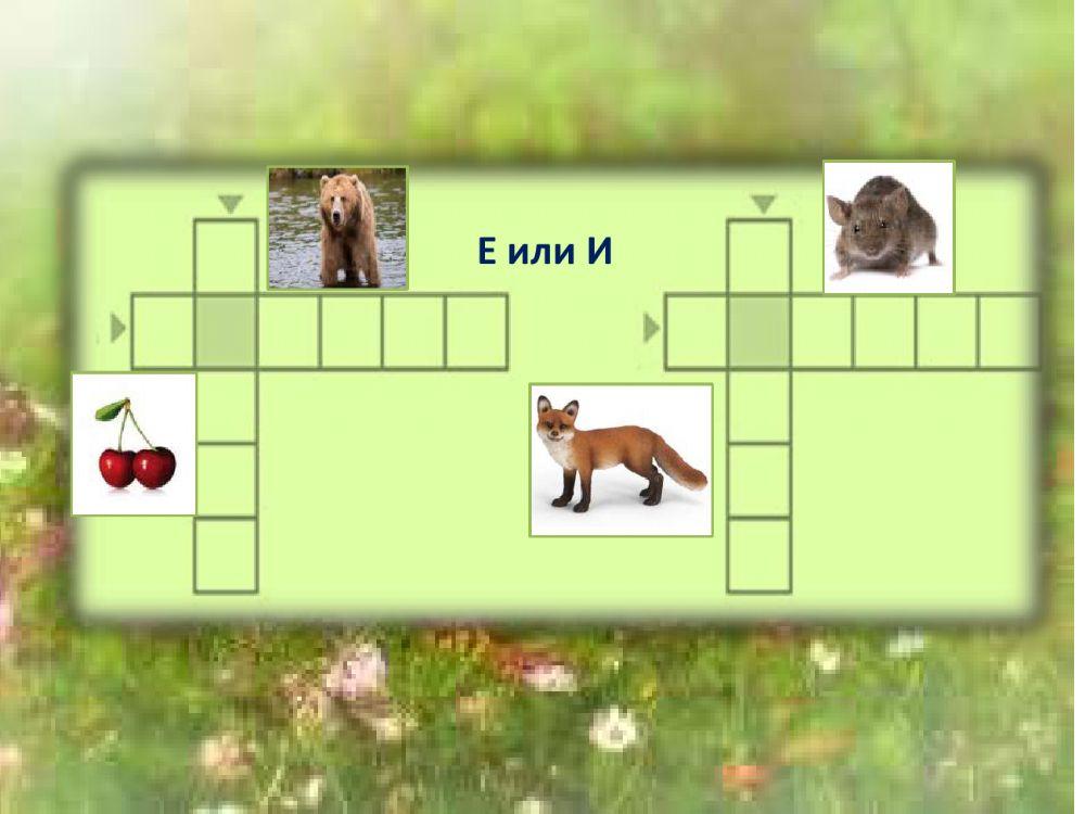 Български език и литература