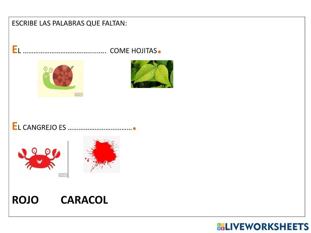 Completar enunciados