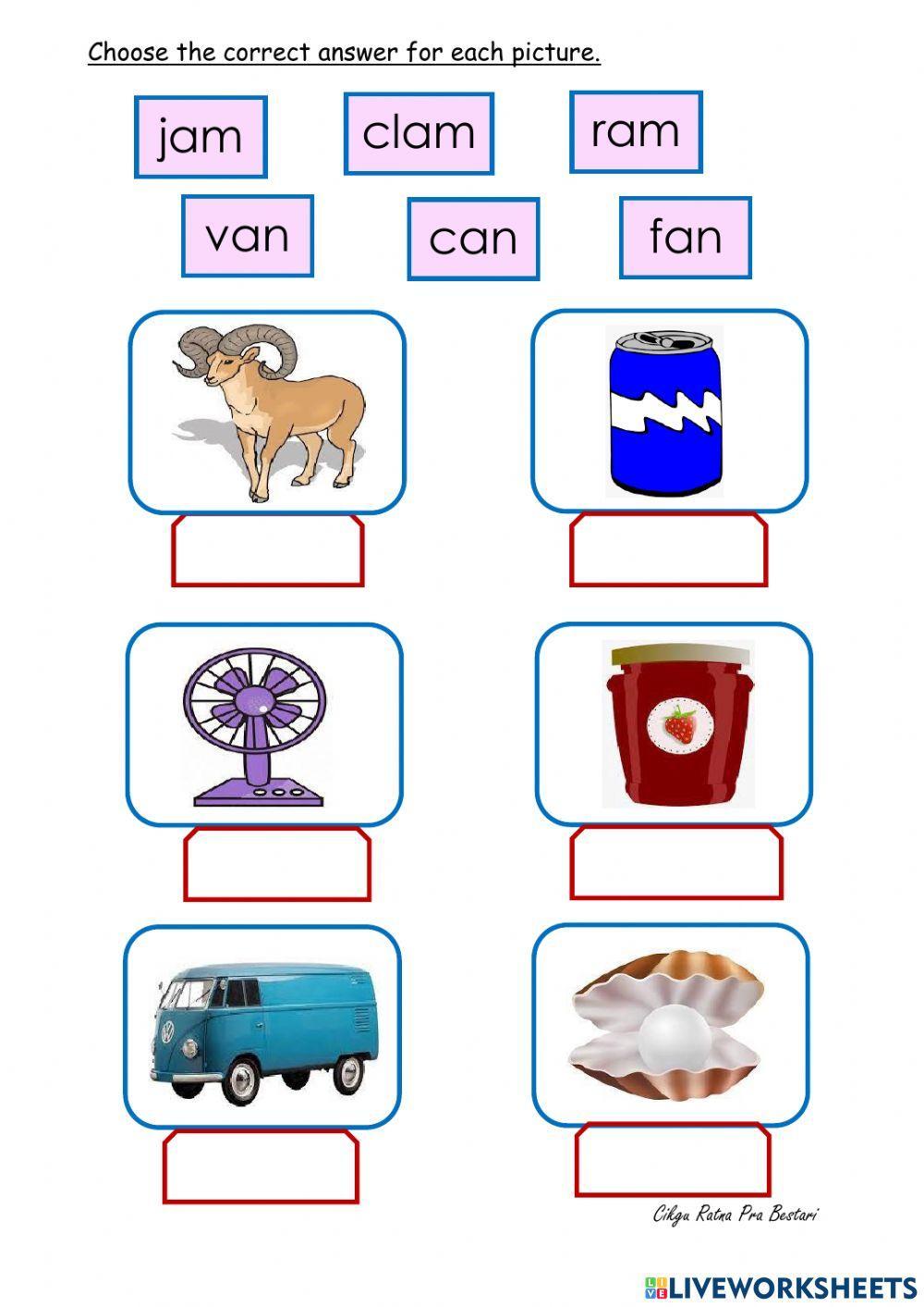 'an'  and   'am'  word family