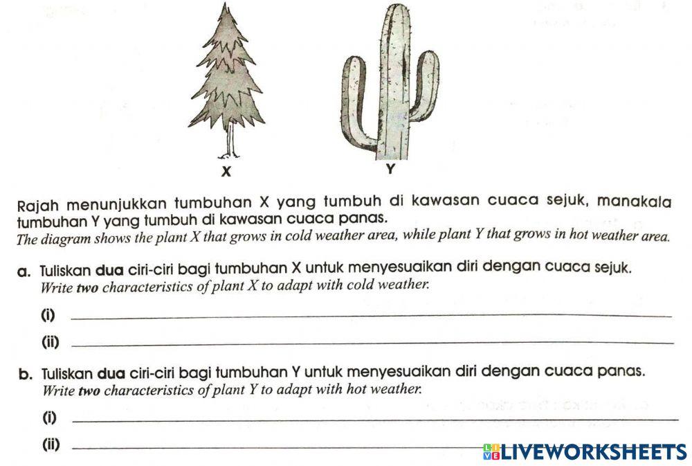 Unit 4 Tumbuhan Tahun5