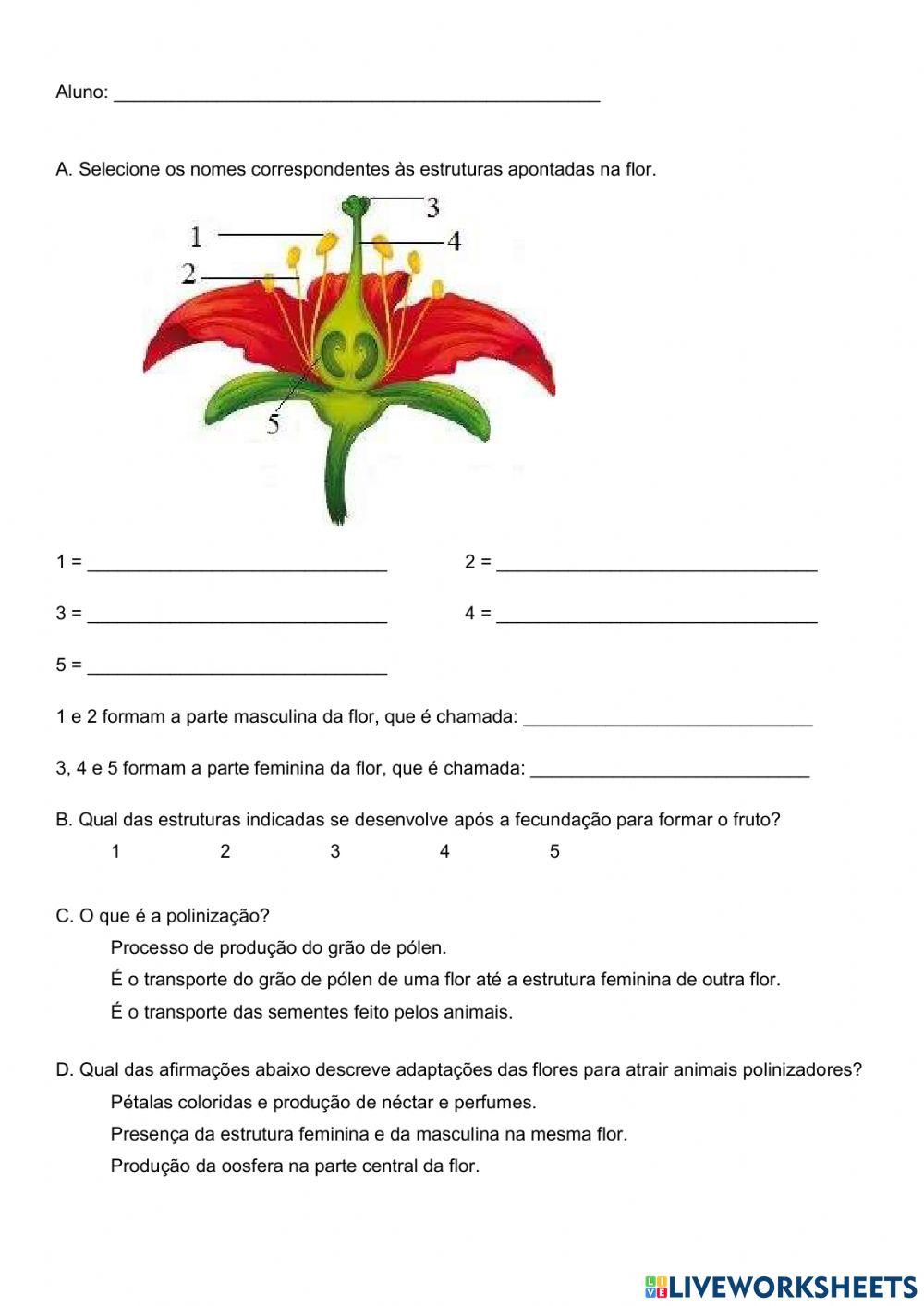 Reprodução de angiospermas