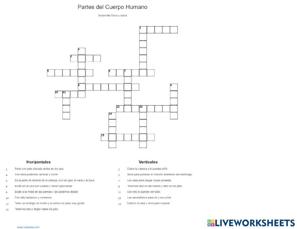 Partes del cuerpo humano