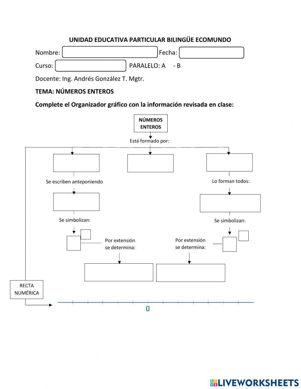 Organizador gráfico Números Enteros