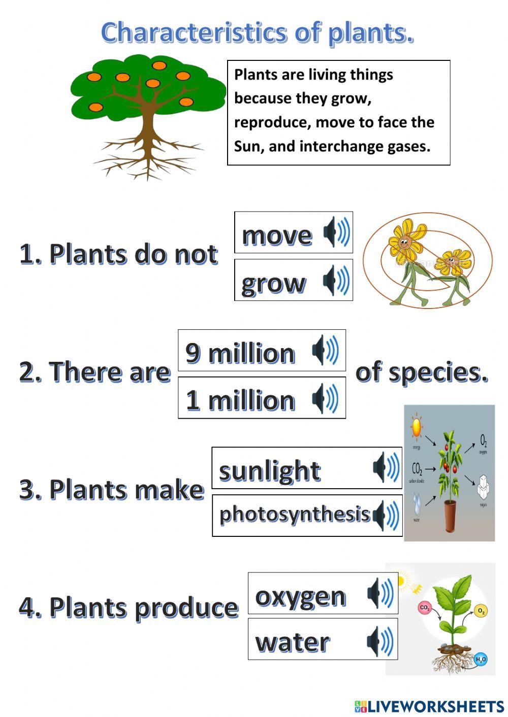 Characteristics of plants