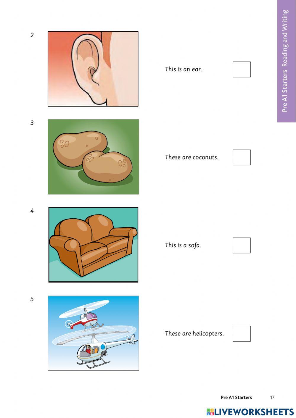 4th Grade Cambridge Starters Test 1 Reading and Writing 