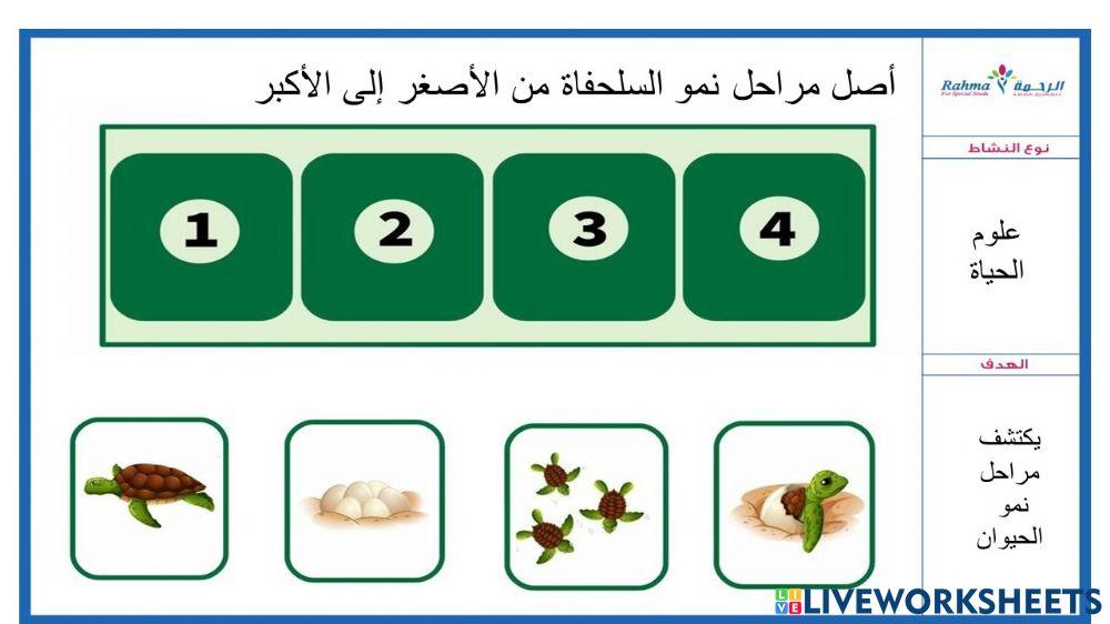 علوم الحياة