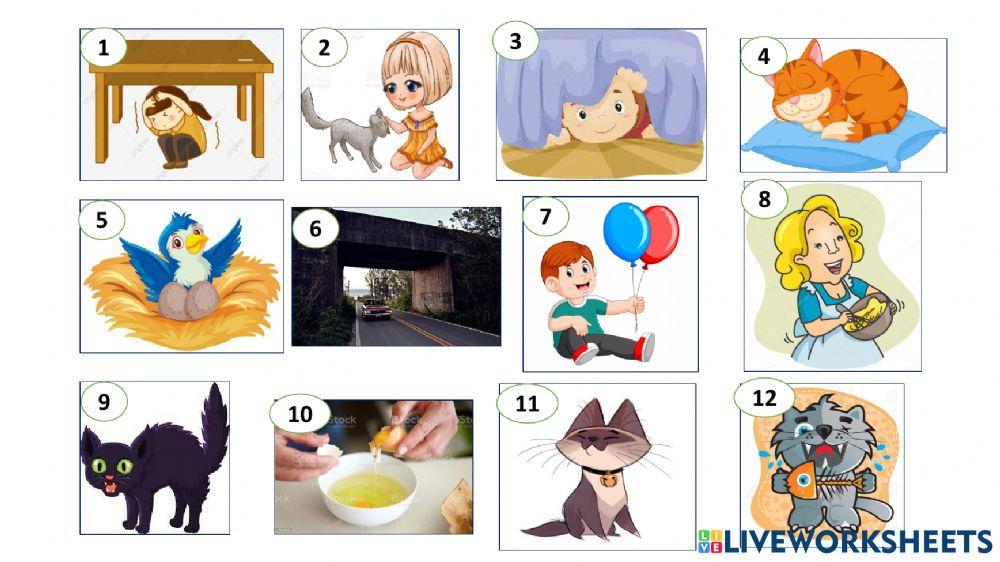 Comprensión de texto