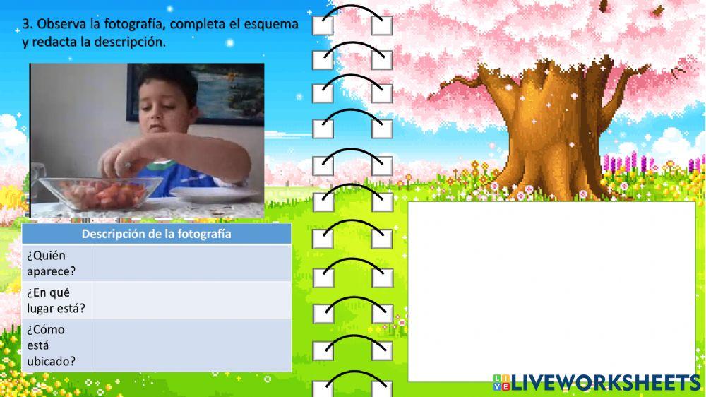 Descripción