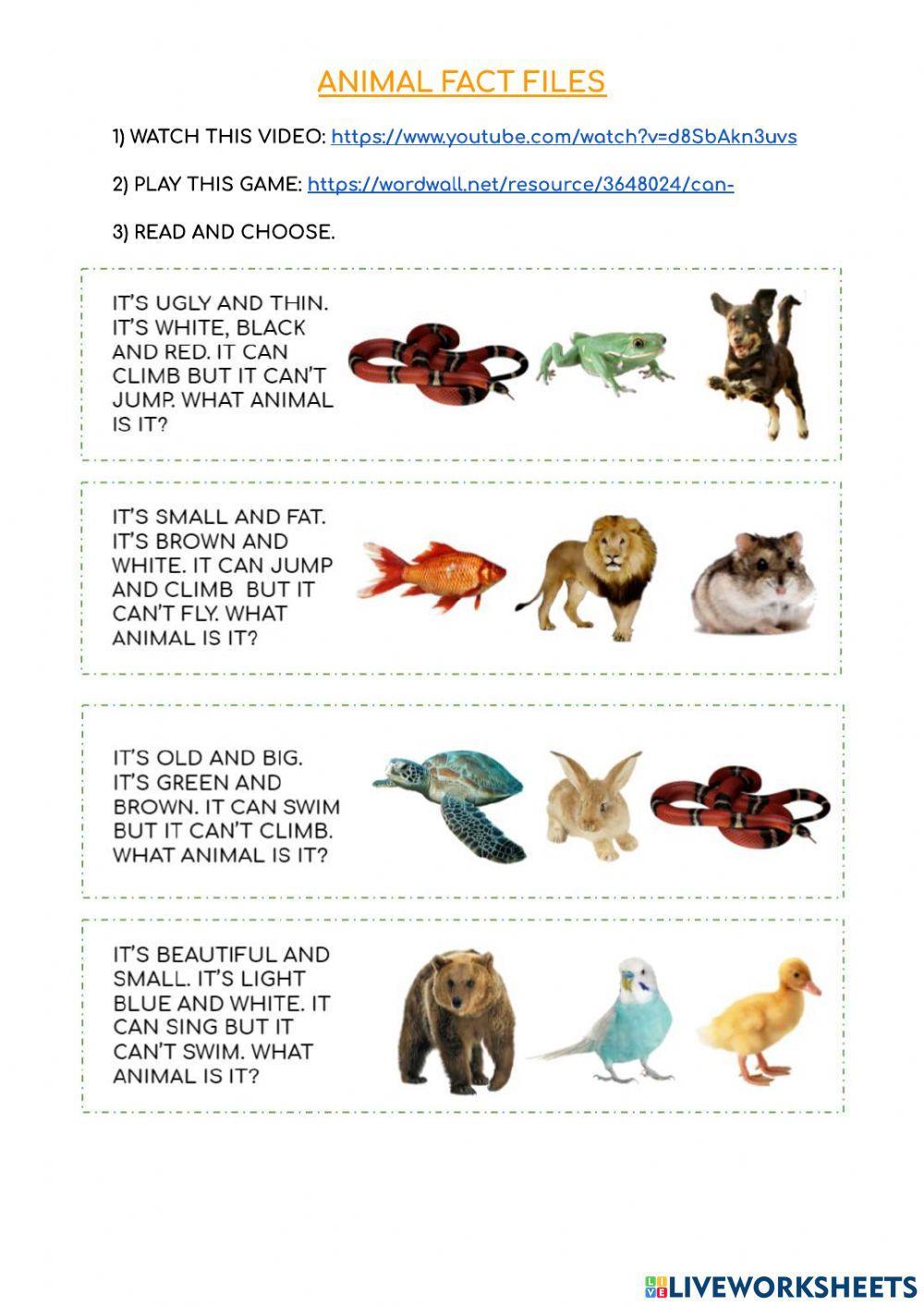 Animal Fact Worksheets