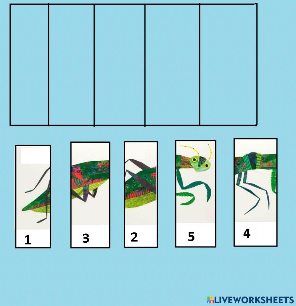 Rompecabezas- orden numérico