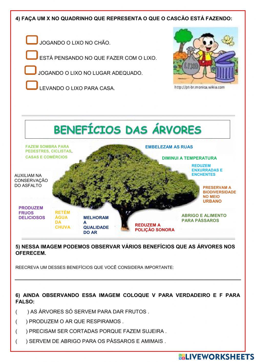 Avaliação Bimestral de Ciências 2ª Ano