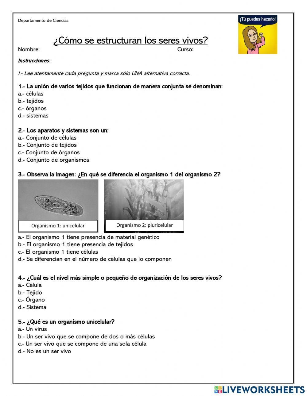 Niveles de organización de los seres vivos 2