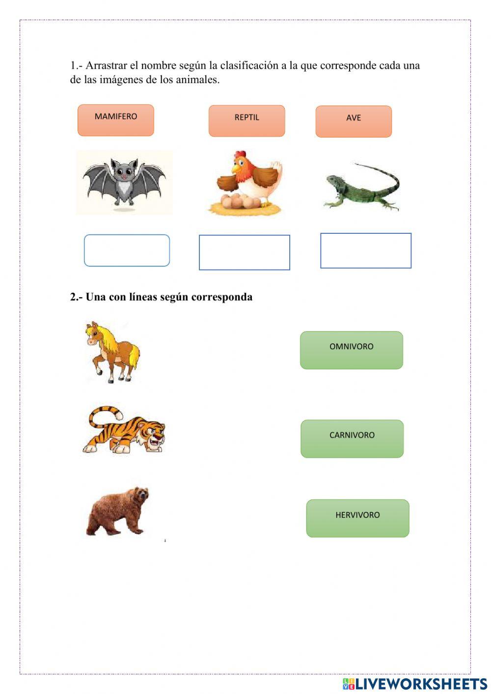 Clasificacion de animales