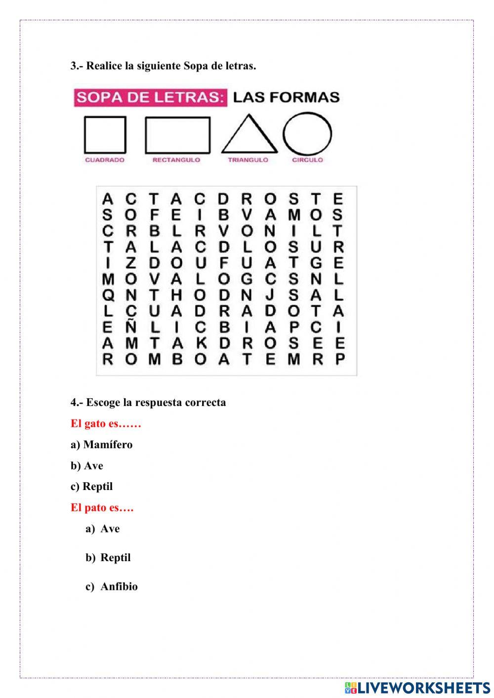 Clasificacion de animales