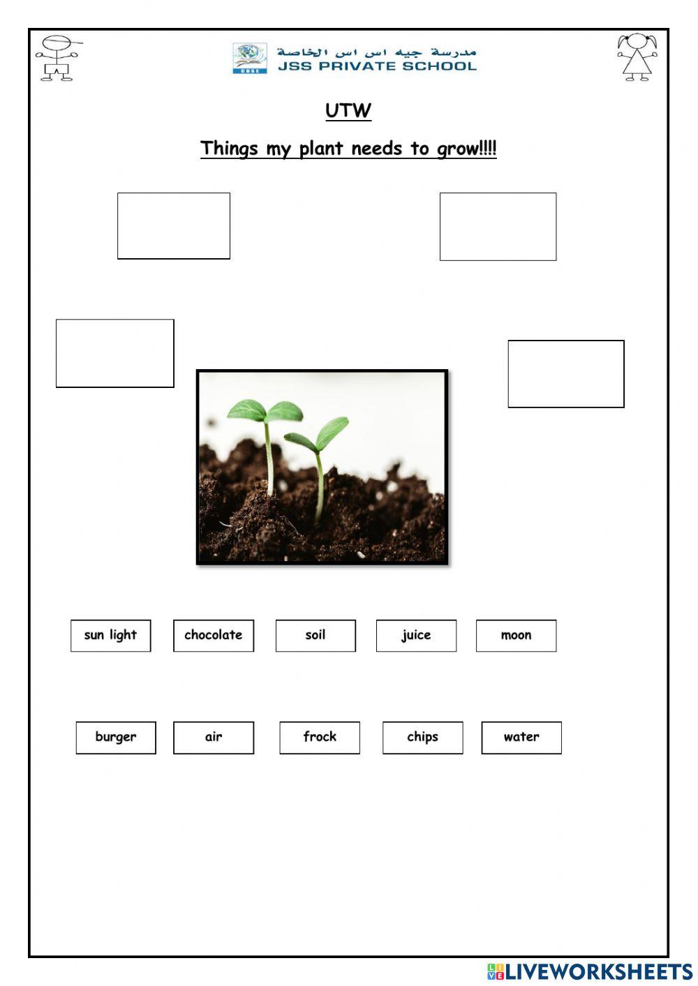 What plant needs to grow