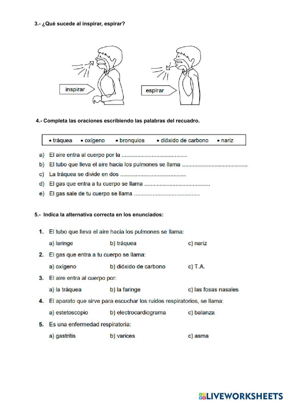 Aparato respiratorio 1