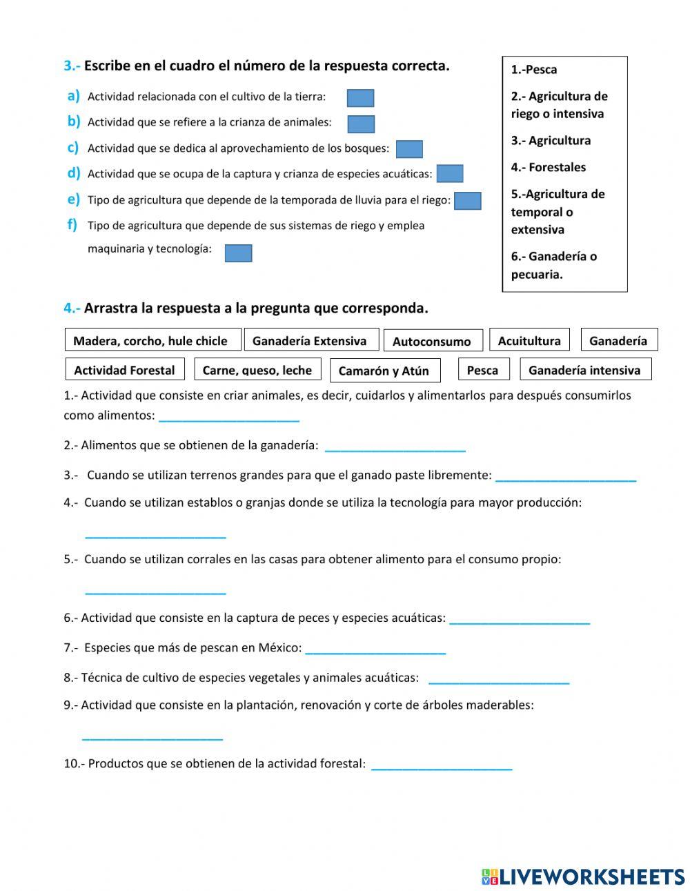 Examen tercer trimestre geografía
