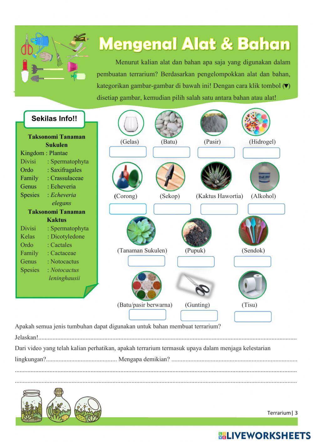 Mari Mengenal Terrarium