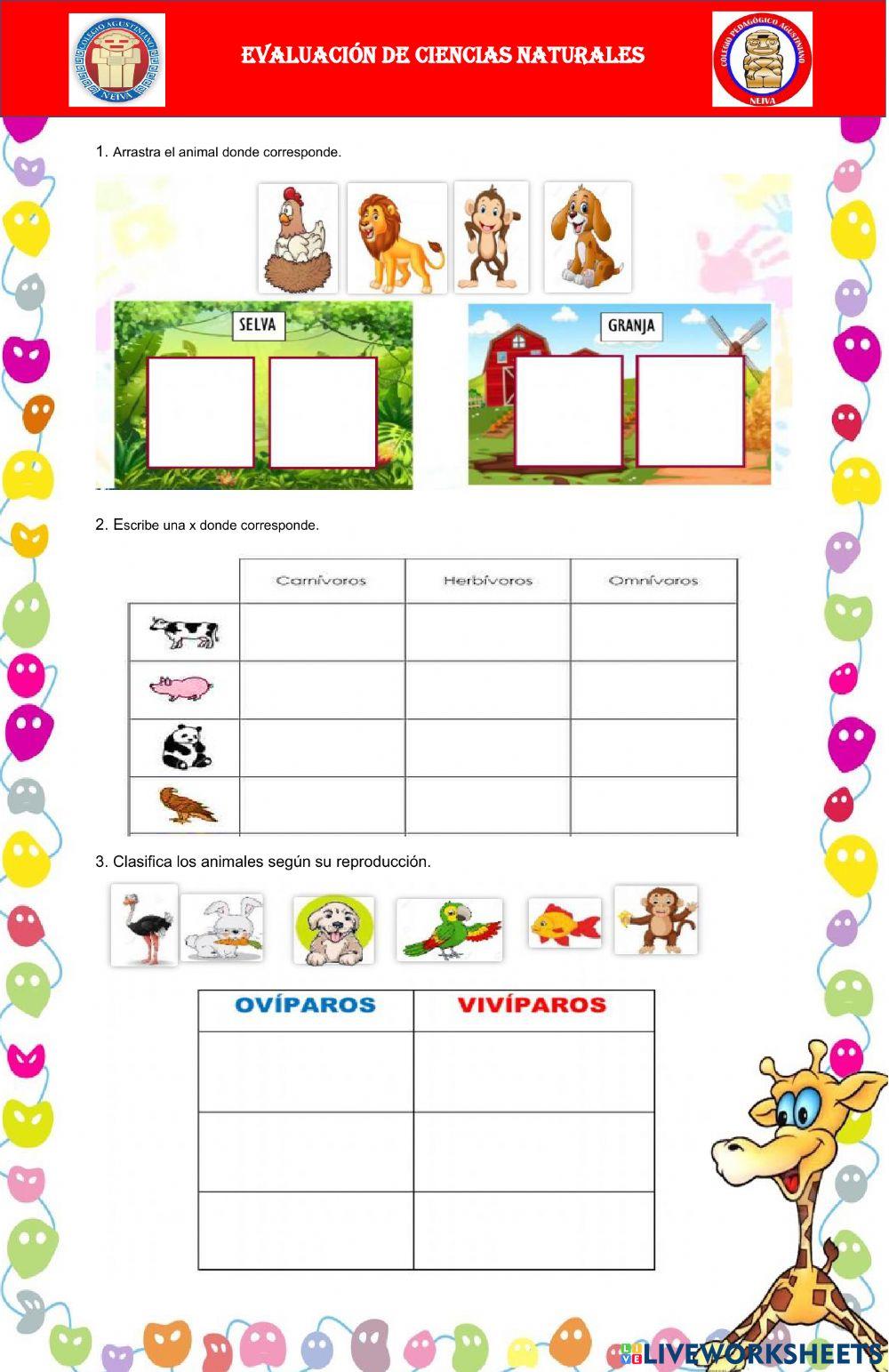 Evaluación ciencias naturales