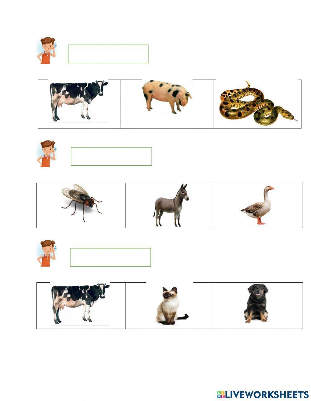 Dezvoltarea auzului fonematic- onomatopee