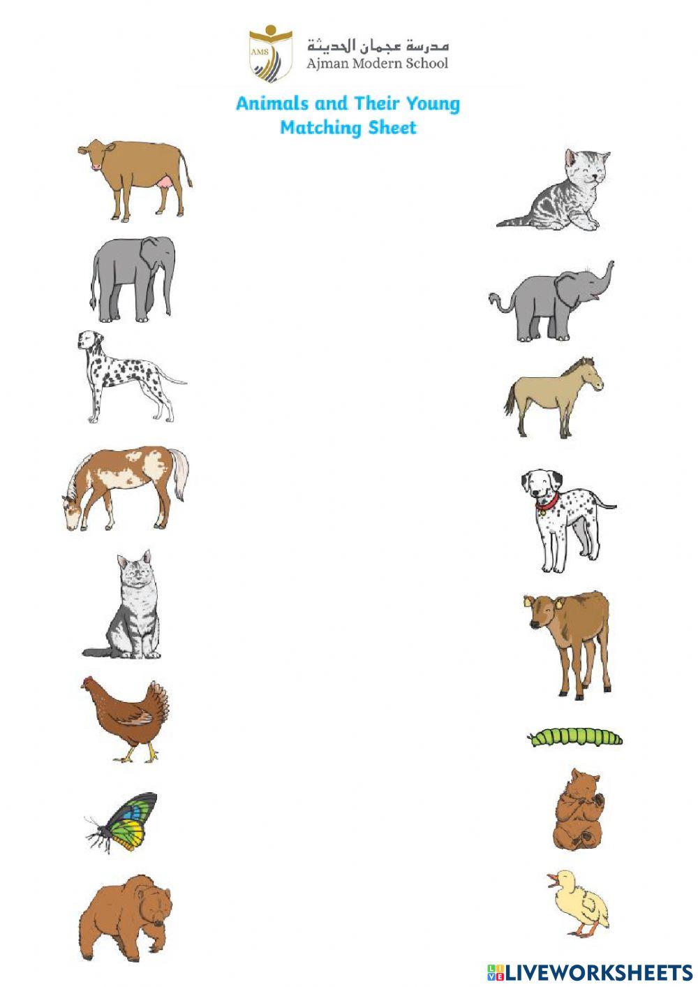 Parent and their Young