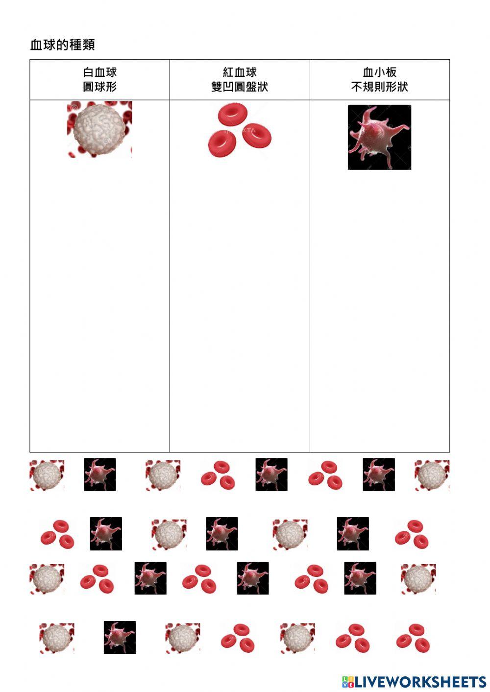 血球的種類
