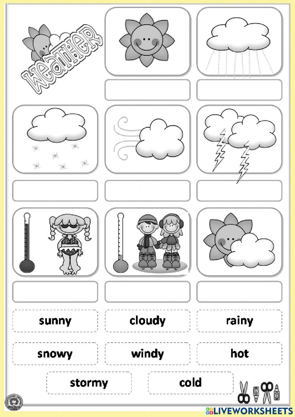 Weather online exercise for junior | Live Worksheets