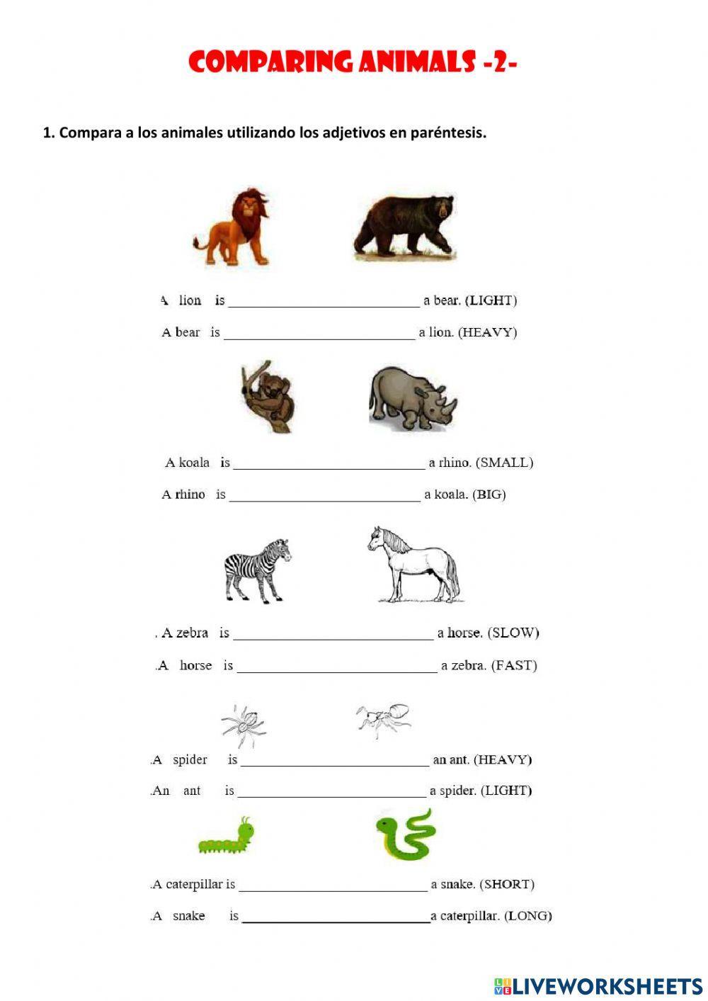Comparing animals 2