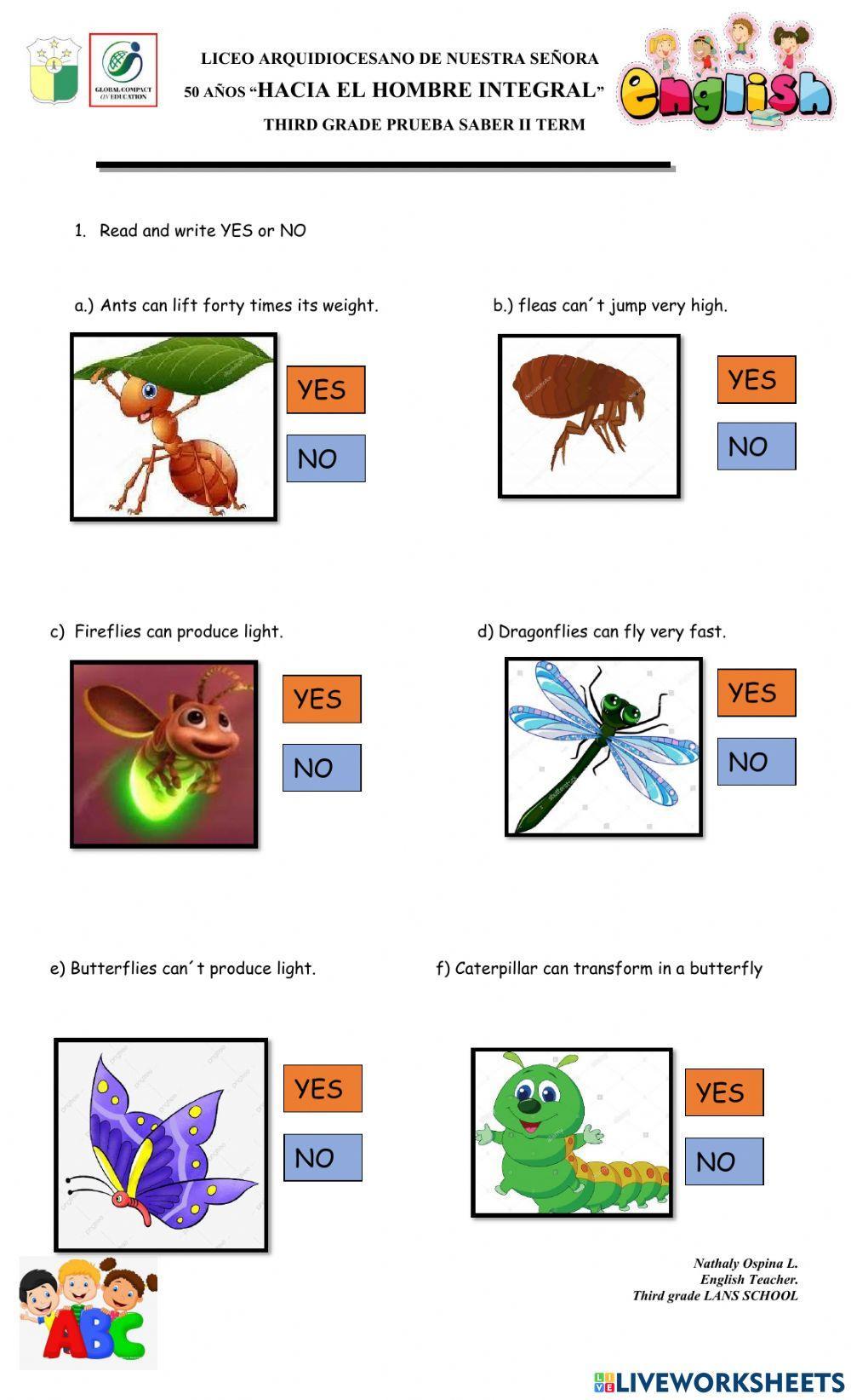 Prueba Saber IITerm 3th grade