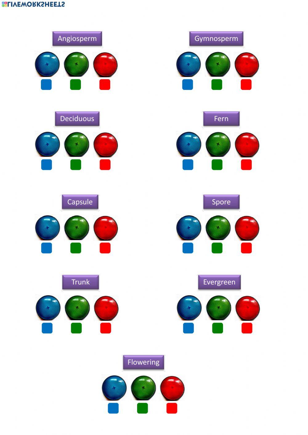 Plants classification - Pronunciation