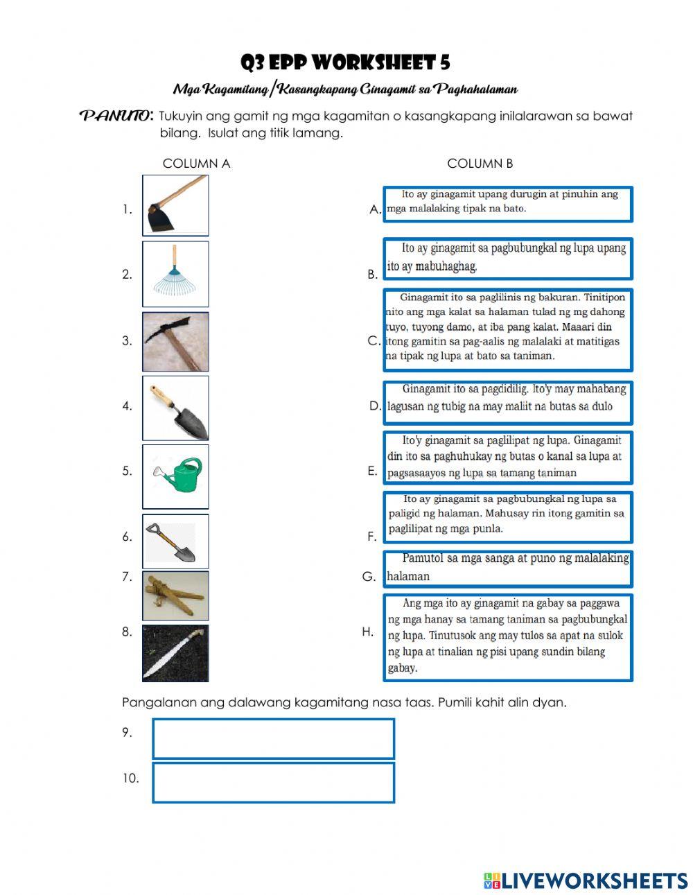 Q3 EPP Worksheet 5