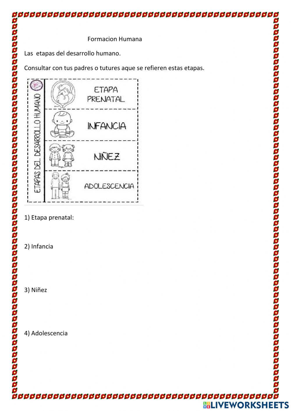 Las  etapas del desarrollo humano.