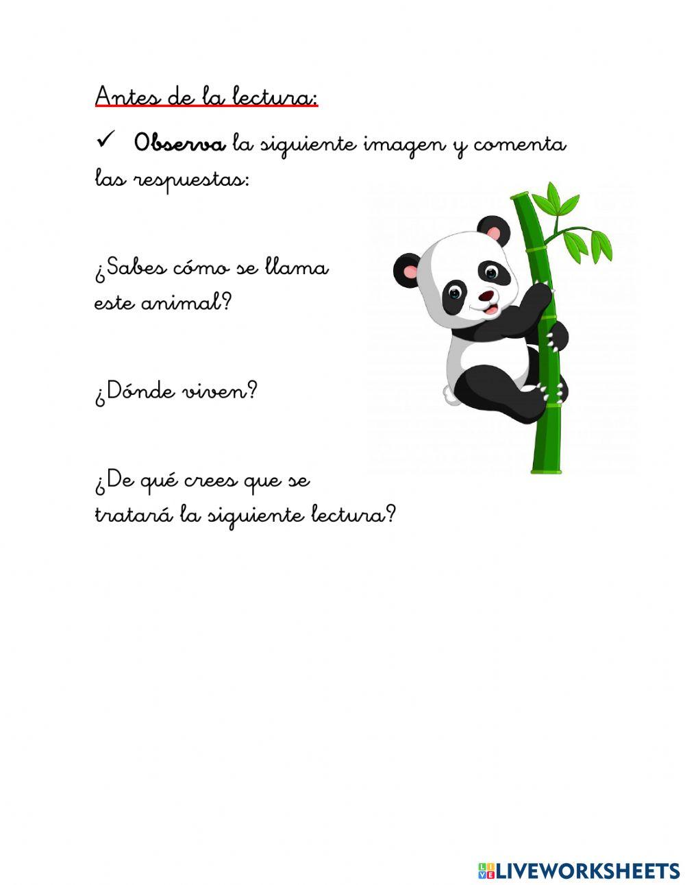 Comprensión lectora Actividad 3