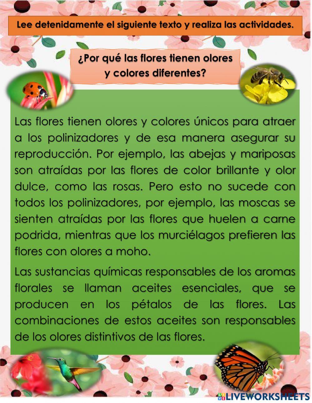 Comprensión lectora