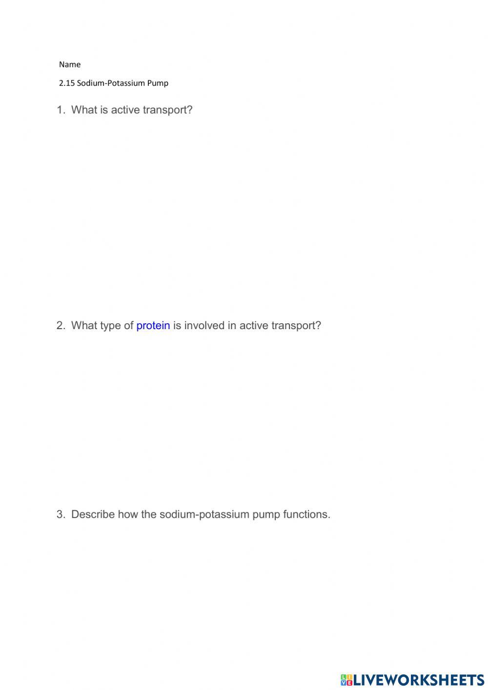 2.15 Sodium-Potassium Pump