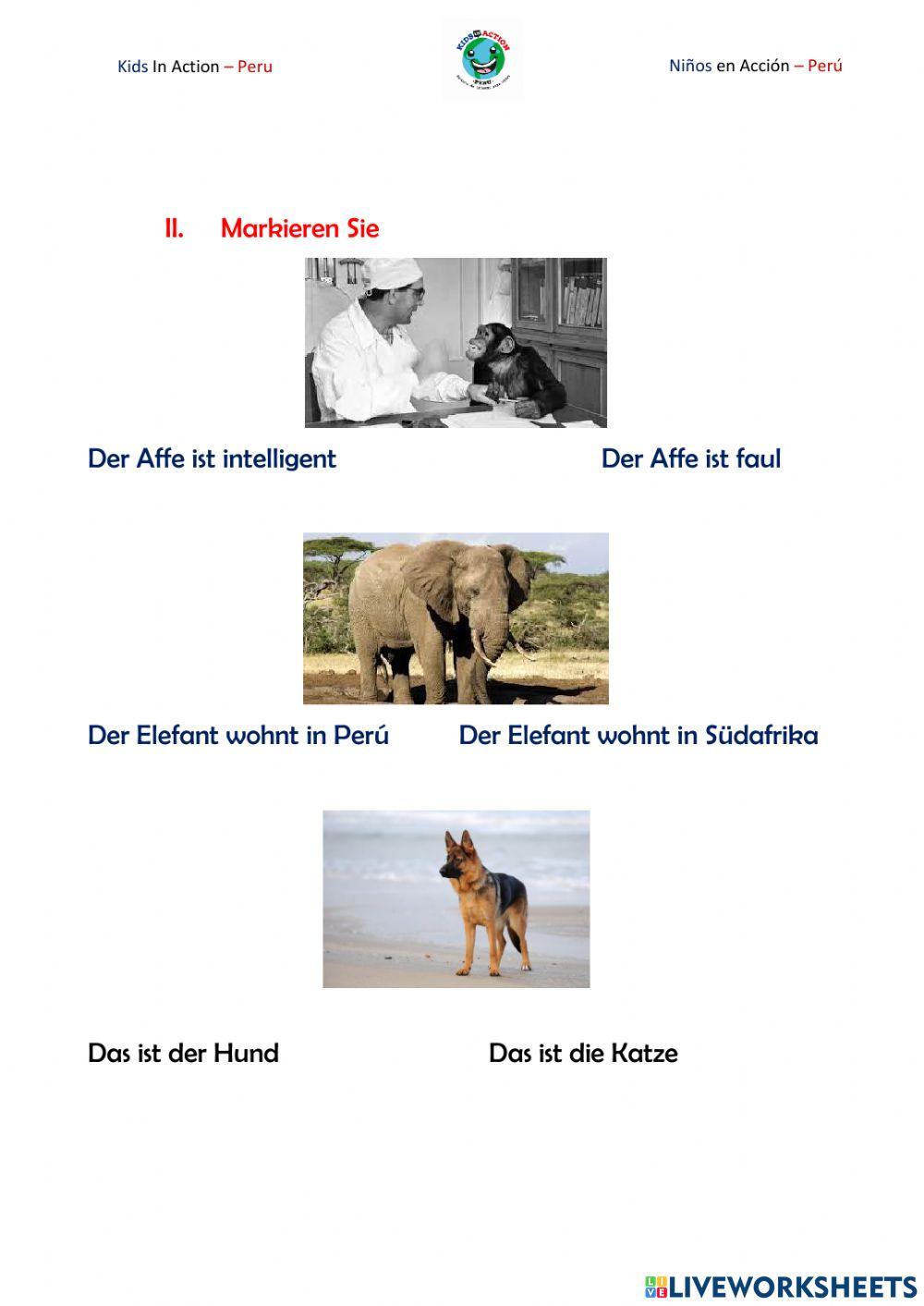 Die Tiere