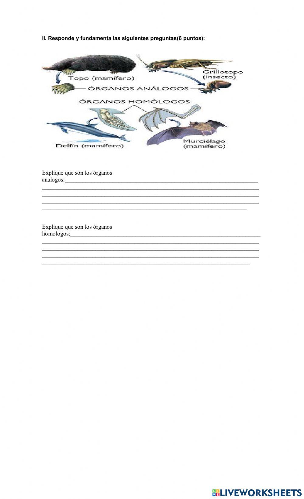 Evidencias de la evolucion