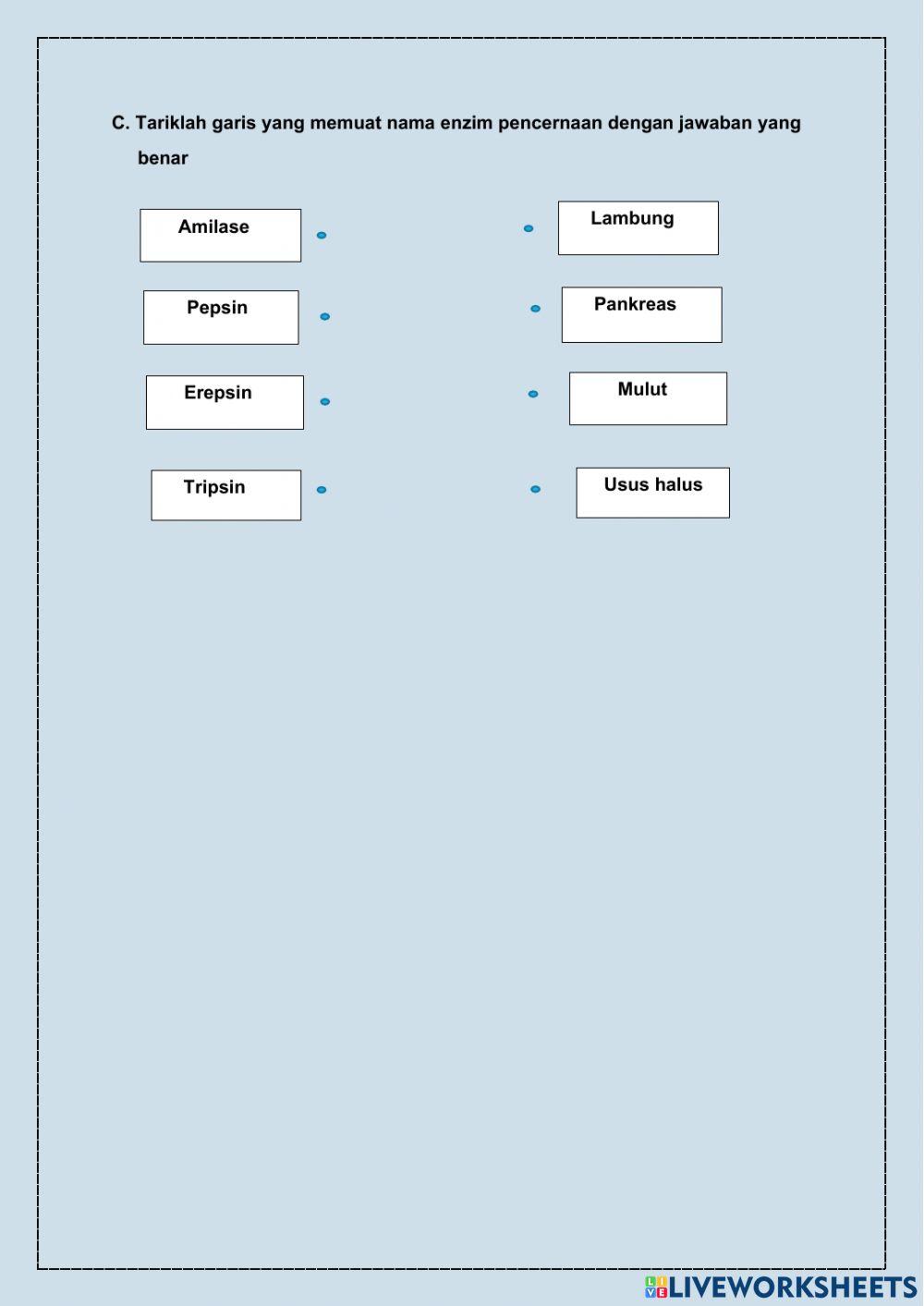 LKPD Sistem Pencernaan Makanan