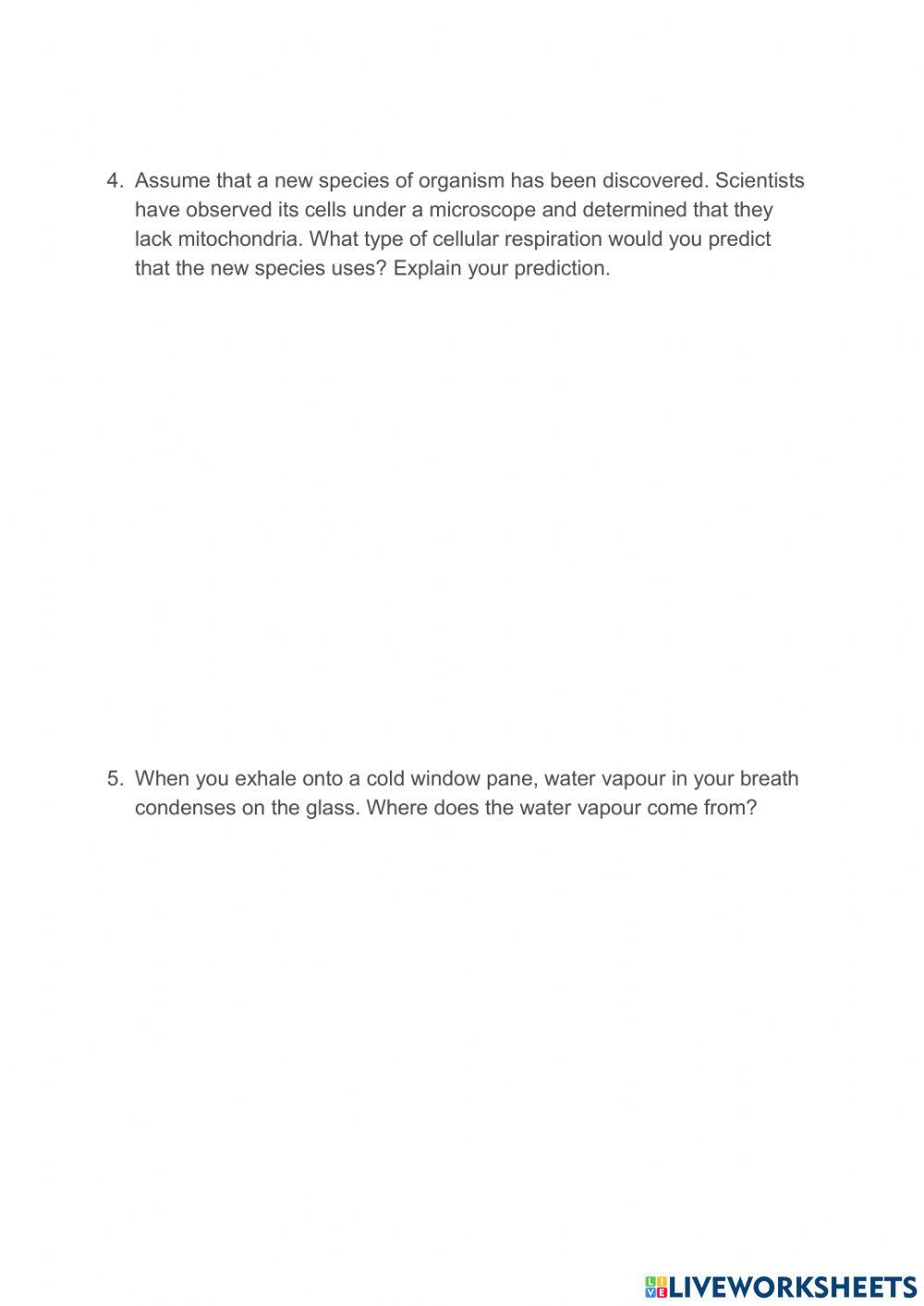 2.25 Cellular Respiration