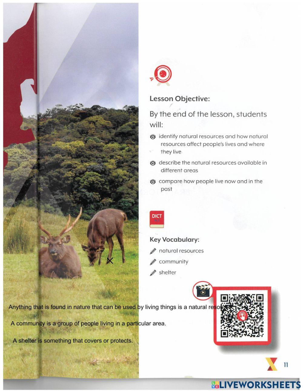 DIS UAE SS Term 3 lesson 1