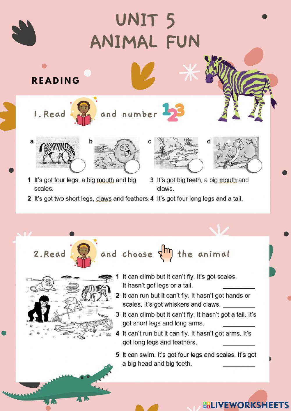 Animal FUN level 3 test