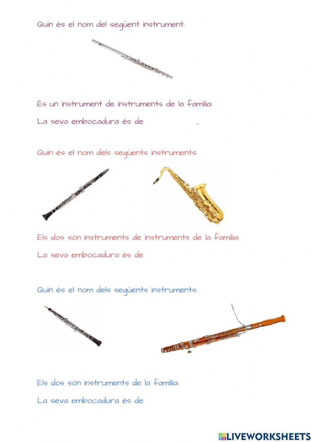Instruments de Vent