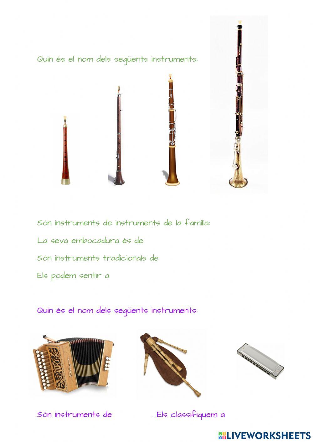Instruments de Vent