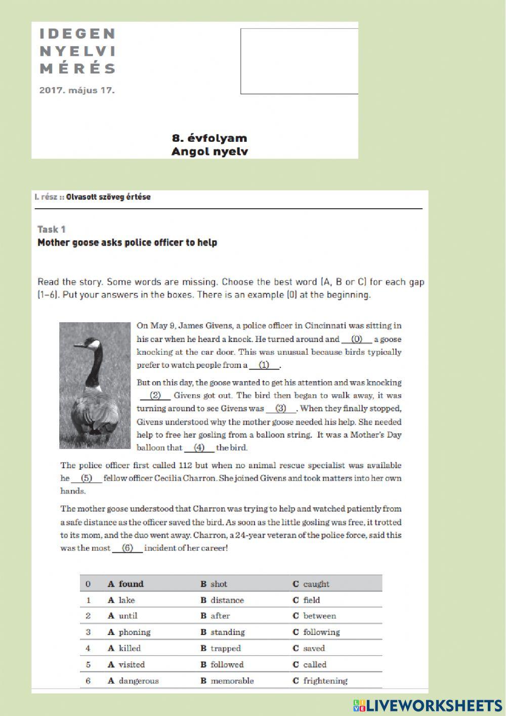 Idegennyelvi mérés Angol 8. 2017