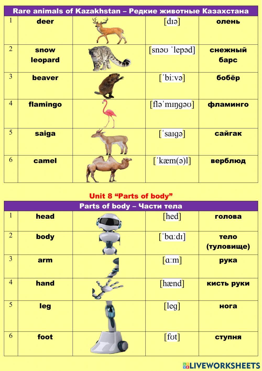 My speaking dictionary Unit 7-8