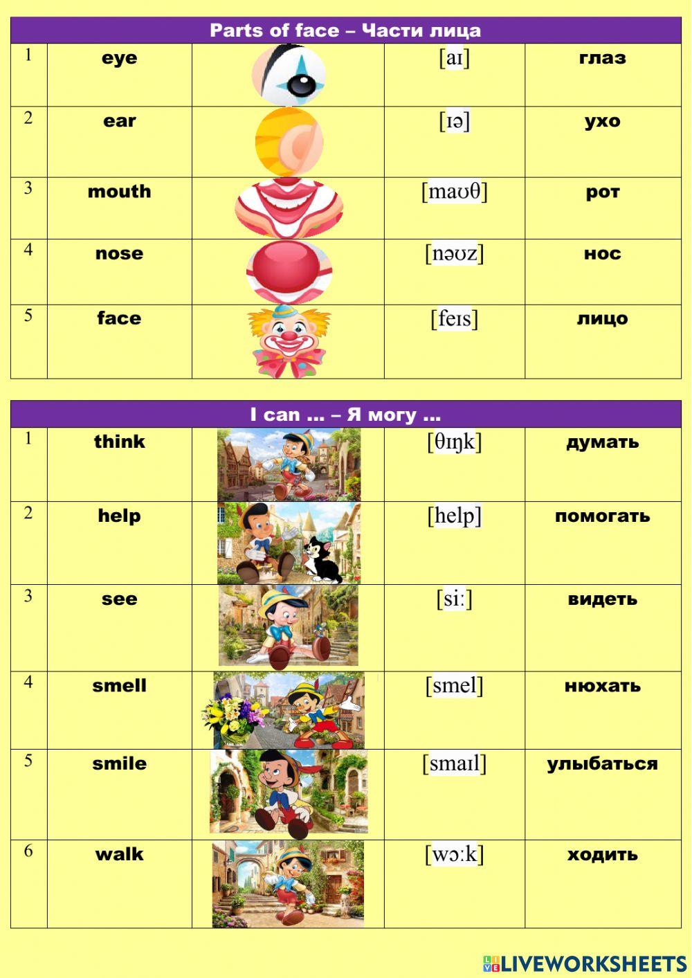 My speaking dictionary Unit 7-8