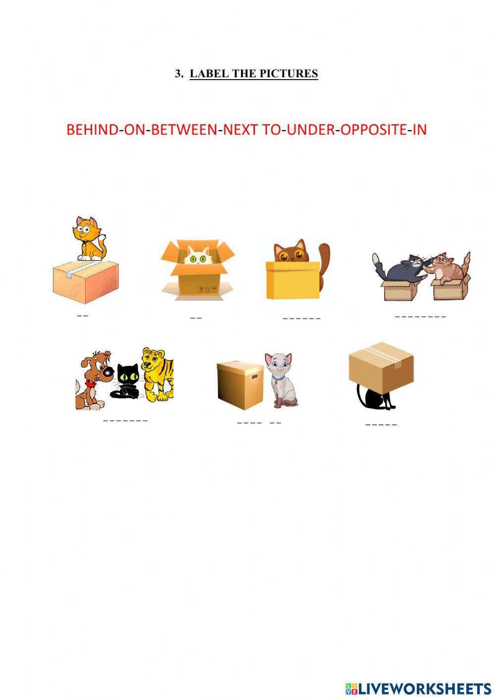 Prepositions of Place